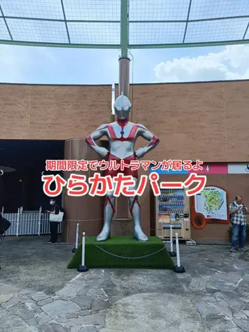野良猫　イチくんとナナちゃんのTikTok投稿