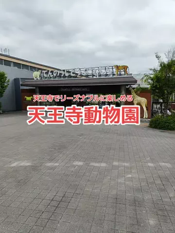 野良猫　イチくんとナナちゃんのTikTok投稿