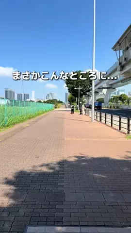 みける|神奈川発のおでかけカップルのTikTok投稿