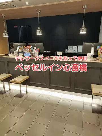 野良猫　イチくんとナナちゃんのTikTok投稿