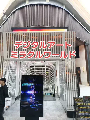 野良猫　イチくんとナナちゃんのTikTok投稿