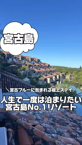 韓国メロンのTikTok投稿