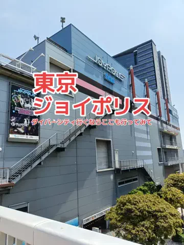 野良猫　イチくんとナナちゃんのTikTok投稿