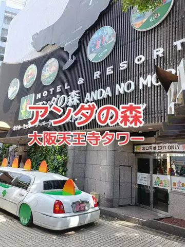 野良猫　イチくんとナナちゃんのTikTok投稿