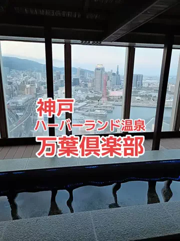 野良猫　イチくんとナナちゃんのTikTok投稿