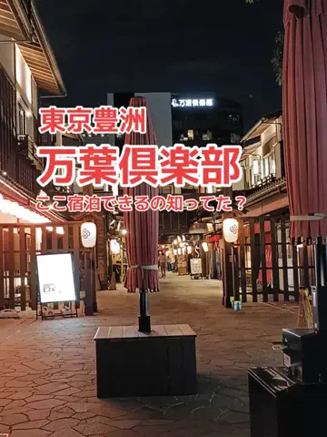 野良猫　イチくんとナナちゃんのTikTok投稿