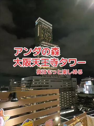 野良猫　イチくんとナナちゃんのTikTok投稿