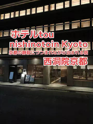 野良猫　イチくんとナナちゃんのTikTok投稿