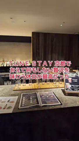 野良猫　イチくんとナナちゃんのTikTok投稿