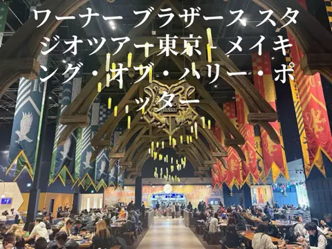 チキン(切り抜きもしてます)のTikTok投稿