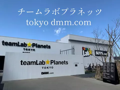 チキン(切り抜きもしてます)のTikTok投稿