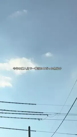 ここのTikTok投稿