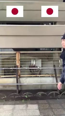 ハルトのTikTok投稿