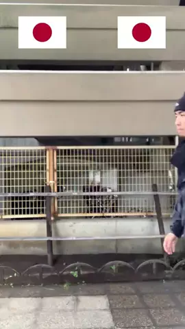 ハルトのTikTok投稿