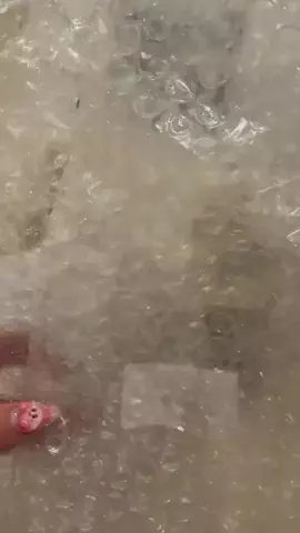 ツオ🐕のTikTok投稿