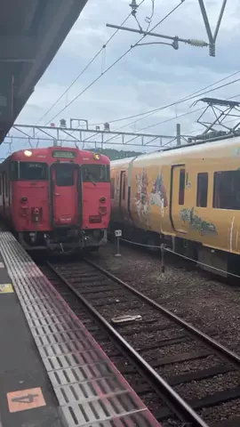 しゃま ✈️ ⁑ travelerのTikTok投稿