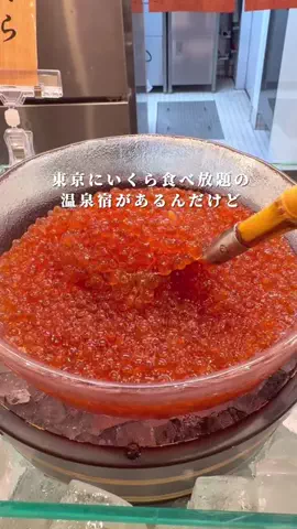 しおり｜女子向けおでかけ・旅行情報🎀のTikTok投稿