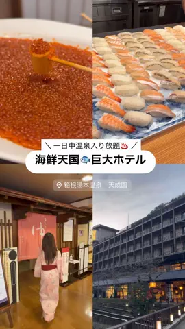 しおり｜女子向けおでかけ・旅行情報🎀のTikTok投稿