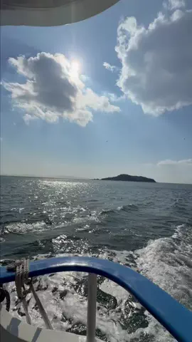 しゃま ✈️ ⁑ travelerのTikTok投稿