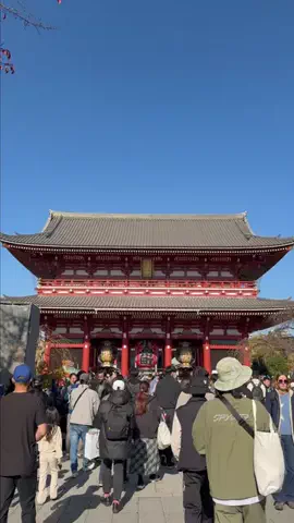 しゃま ✈️ ⁑ travelerのTikTok投稿