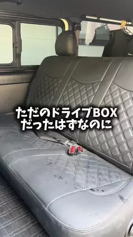 ボーダーコリーのBiS(ビス)のTikTok投稿