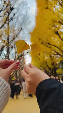 しゃま ✈️ ⁑ travelerのTikTok投稿