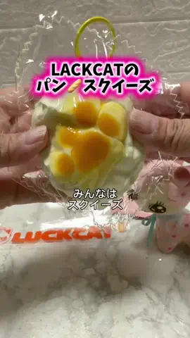 みやも人形のTikTok投稿