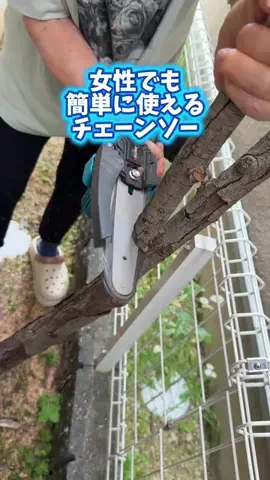 みやも人形のTikTok投稿