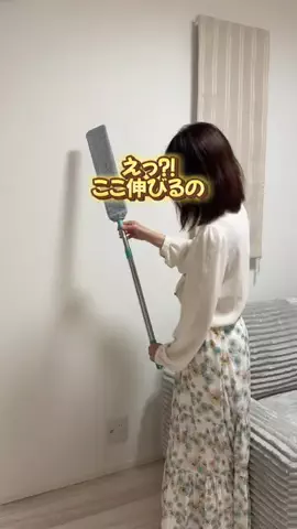 らふ｜掃除マニア歴10年のかんたん掃除術のTikTok投稿