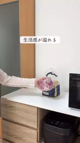 ぴけ⌇賃貸でも整うシンプルな暮らしのTikTok投稿