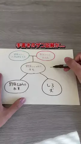 ぺい｜1分でわかるズル賢い1人暮らし👟のTikTok投稿