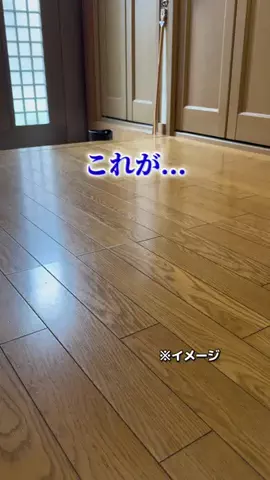 ぺい｜1分でわかるズル賢い1人暮らし👟のTikTok投稿