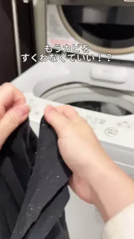 panchan_kurashiのTikTok投稿