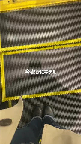 全力コスメオタクのTikTok投稿