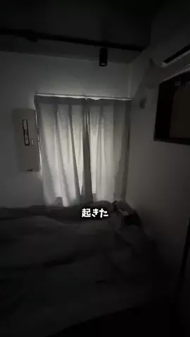 上野 道生のTikTok投稿