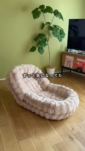 吉のTikTok投稿