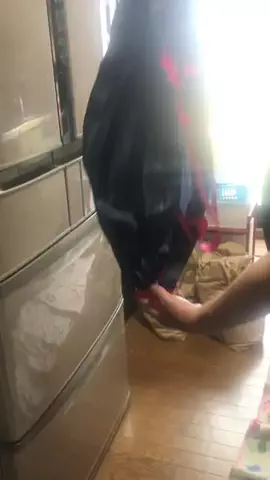 まゆち💊👽紹介マンのTikTok投稿