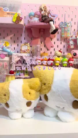 平成を生きるはらだんのTikTok投稿