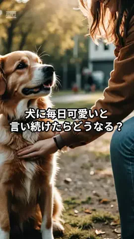 わんこの腸活のススメのTikTok投稿