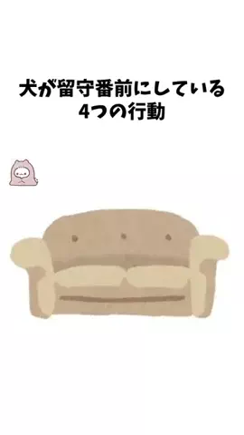 わんこの腸活のススメのTikTok投稿
