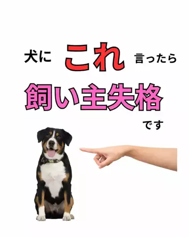 わんこの腸活のススメのTikTok投稿