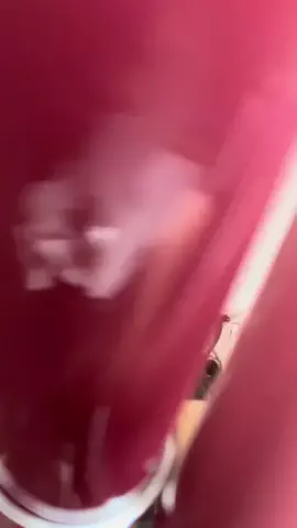 saeのTikTok投稿