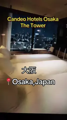 💝アンズ💕 🇯🇵のTikTok投稿