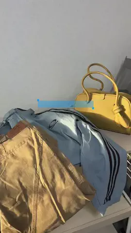 杏のTikTok投稿