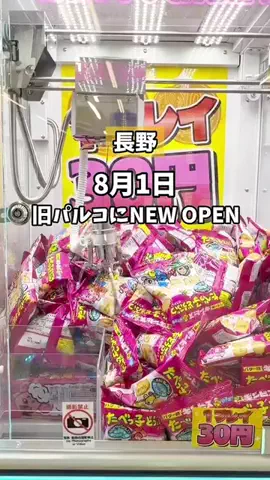 shotabi.naganoのTikTok投稿