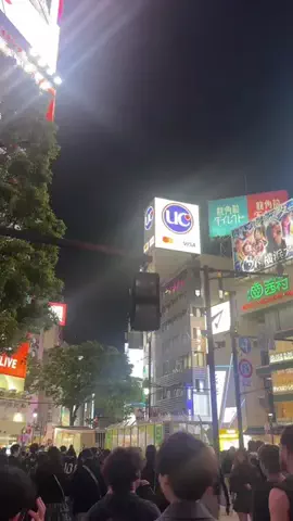 いがぐりとりっぷ I 東京発のお出かけ記録のTikTok投稿