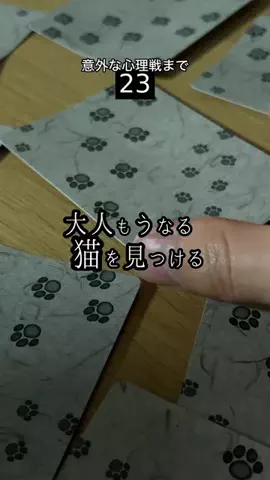 わたなべさんのボードゲーム棚のTikTok投稿