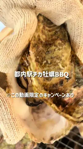 おいすたー・まほ🦪のTikTok投稿
