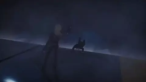 カレイアン🗽のTikTok投稿