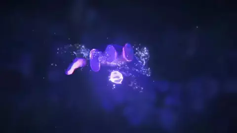 カレイアン🗽のTikTok投稿